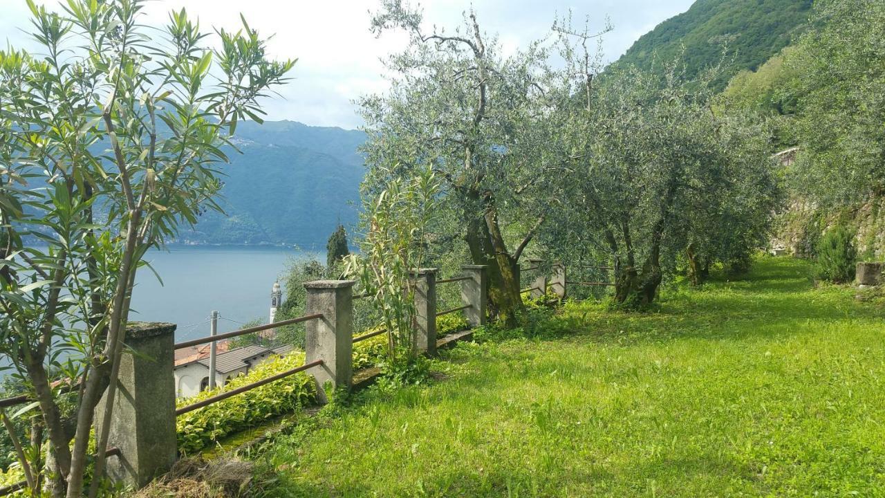 Vakantiehuis Gli Ulivi Di *